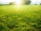 Vente Terrain Salignac 33240 580 m2