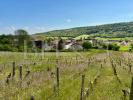 Vente Maison Chassey-le-camp 71150 17 pieces 428 m2