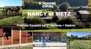 Vente Maison Metz  57000 8 pieces 220 m2