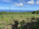 Vente Terrain Saint-joseph 97480 1103 m2