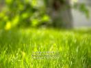 Vente Terrain Bihorel 76420 2100 m2