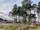 Vente Terrain Brach 33480 700 m2