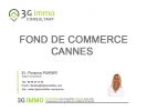 Vente Commerce Cannes 06400 35 m2