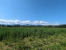 Vente Terrain Elne 66200 32767 m2