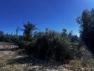 Vente Terrain Barjac  30430 1300 m2