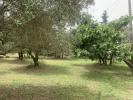Vente Terrain Alleins 13980 400 m2