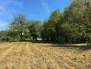 Vente Terrain Baud 56150 1000 m2