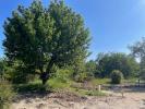 Vente Terrain Saint-jean-de-braye 45800 395 m2