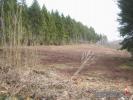 Vente Terrain Saint-die 88100 10078 m2
