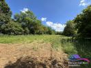 Vente Terrain Montgivray  36400 3162 m2