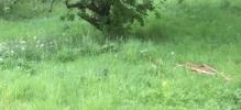 Vente Terrain Frette-sur-seine 95530 584 m2