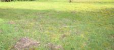 Vente Terrain Frette-sur-seine 95530 318 m2