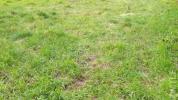 Vente Terrain Sarcelles 95200 858 m2