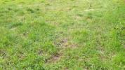 Vente Terrain Vaureal 95490 518 m2