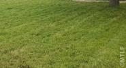 Vente Terrain Saint-brice 95350 313 m2