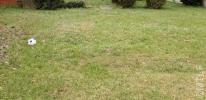 Vente Terrain Sannois 95110 698 m2