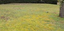 Vente Terrain Goussainville 95190 401 m2