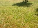 Vente Terrain Beauchamp 95250 520 m2