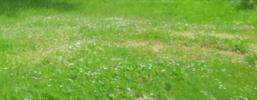 Vente Terrain Saint-leu-la-foret 95320 320 m2
