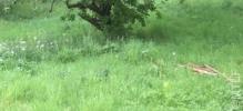 Vente Terrain Chapelle-en-vexin 95420 590 m2