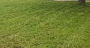 Vente Terrain Arnouville-les-gonesse 95400 312 m2