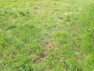 Vente Terrain Cormeilles-en-vexin 95830 460 m2
