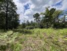 Vente Terrain Chancelade 24650 3100 m2