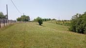 Vente Terrain Lescure-d'albigeois  81380 32767 m2