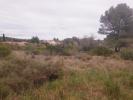 Vente Terrain Pignan 34570 326 m2