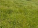 Vente Terrain Charolles  71120 3492 m2