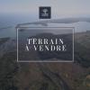 Vente Terrain Aleria 20270 716 m2