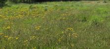 Vente Terrain Pencran 29800 800 m2