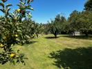 Vente Maison Razac-sur-l'isle 24430 4 pieces 106 m2