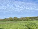 Vente Terrain Savonnieres 37510 735 m2
