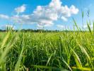 Vente Terrain Longages 31410 582 m2