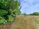 Vente Terrain Saint-saturnin-du-bois 17700 511 m2