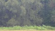 Vente Terrain Saint-jean-du-doigt 29630 1374 m2