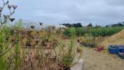 Vente Terrain Locquirec 29241