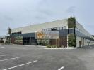 Vente Commerce Salleboeuf 33370 521 m2