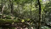 Vente Terrain Autun 71400 8822 m2