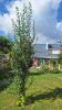 Vente Maison Douai 59500 5 pieces 115 m2