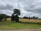 Vente Maison Chapelle-des-fougeretz 35520 125 m2