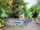 Location Appartement Sainte-clotilde 97490 19 m2