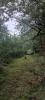 Vente Terrain Montdurausse 81630 1428 m2