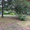 Vente Terrain Saint-denis-de-pile 33910 1150 m2