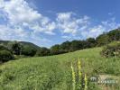 Vente Terrain Saint-sernin-du-bois 71200 1636 m2