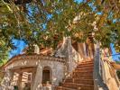 Vente Maison Saint-maximin-la-sainte-baume 83470 6 pieces 230 m2