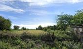 Vente Terrain Lozinghem 62540