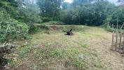 Vente Terrain Etang-sale 97427 414 m2