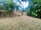 Vente Terrain Saint-paul 97460 972 m2